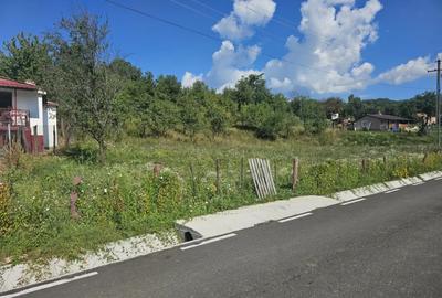 Teren în Sălătrucel - 1