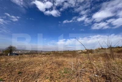 Teren de 710 mp, în Bârnova - 1