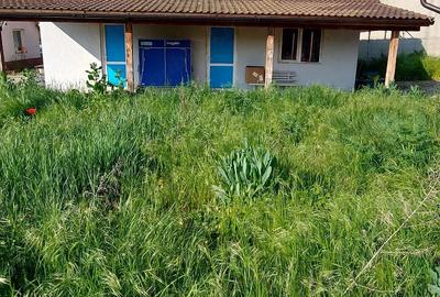 Casă cu 6 camere cu Teren 1800 Mp în Dudeștii Noi - 14