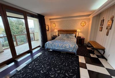 Casă cu 9 camere cu Teren 721 Mp în Crevedia - 16