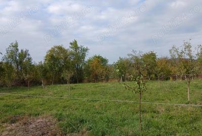 Loc de casa cu livada ?i corp de cladire - 7