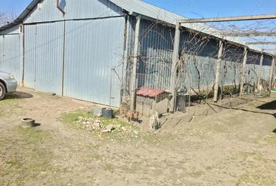 Casă cu Teren 4000 Mp în Vâlcelele - 2