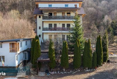 Spațiu comercial, de 750 mp, în Sohodol - 20