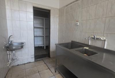 Zona Parcul Carol sp 170 mp vizibilitate buna - 5