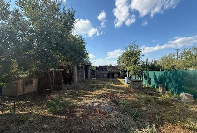 Casă individuală cu 5 camere cu Teren 1518 Mp în Cheresig - 7