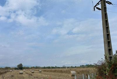 Vand parcele de teren 1000mp pentru hale atelier depozit - 1