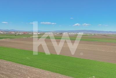 Vanzare teren extravilan agricol Halchiu 15000mp - 7