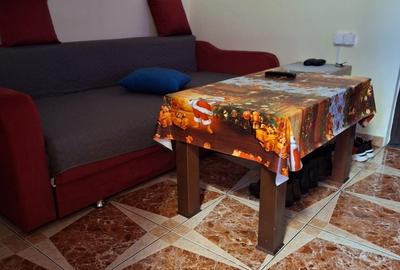 Apartament cu 2 camere semidecomandat în Pieptănari - 8