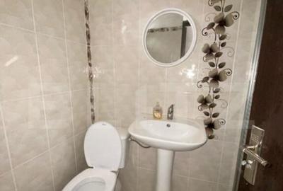 Casa Bontida cu mai multe anexe de inchiriat pe parcursul fe - 10