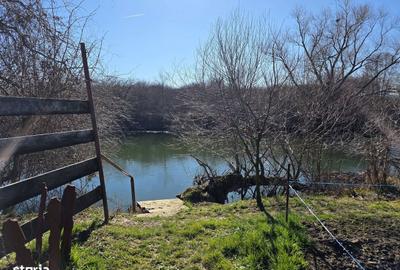 Casă cu 3 camere cu Teren 680 Mp în Podgoria - 3