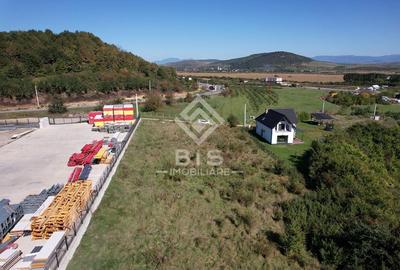 Teren Construcții intravilan de 2500 mp, în Viișoara - 14