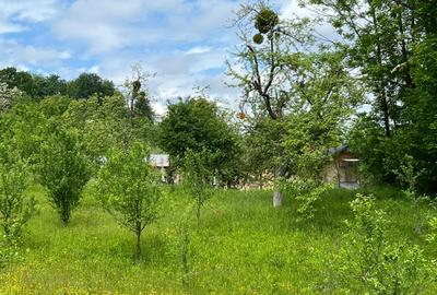 Teren Construcții intravilan de 4200 mp, în Ocina de Sus - 10