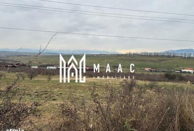 Teren de 6300 mp, în Roșia - 3