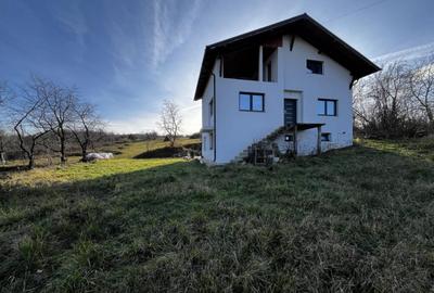 Casă cu 7 camere cu Teren 1600 Mp în Berchez - 21