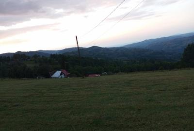 Teren în Poiana Mărului - 12