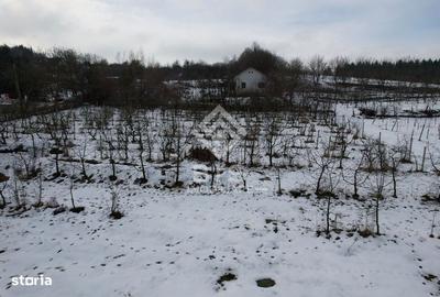 Spațiu comercial, în Central