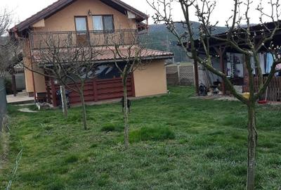 Casă cu 4 camere în Mintia - 7