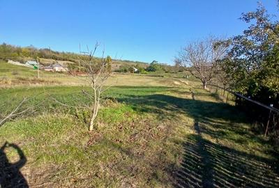 Casă cu 2 camere în Central - 4