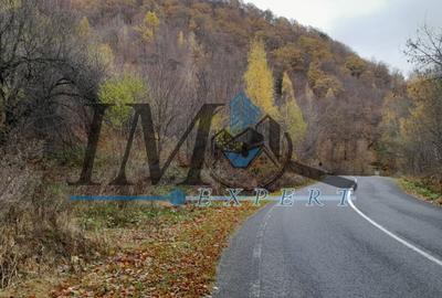 Teren extravilan de 2200 mp, în Tău Bistra - 3