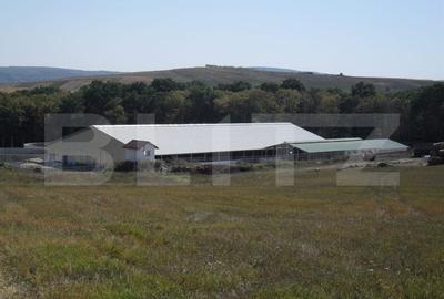 Hale si teren ,curte betonata , destinatii multiple - 2