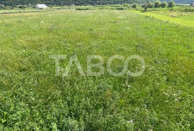 Teren intravilan 3450 mp Boita, 35 m deschidere, la 700 m de A1 - 2