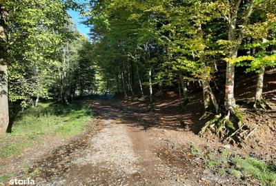 Teren de 7160 mp, în Central - 4