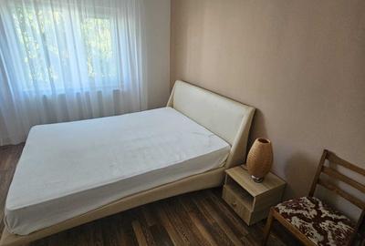 Apartament cu 4 camere decomandat în Brazda lui Novac - 3