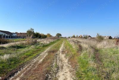 Teren de 22000 mp, în Livada - 5