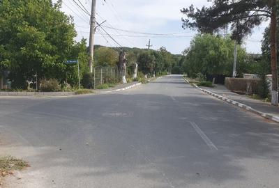 1347 mp / 673 mp in Snagov sat  Locatie de exceptie  Acasa cu drag / Investitie - 6