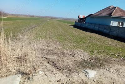 Teren de 3600 mp, în Central - 2