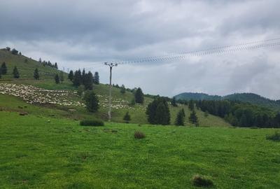 Parcele de vis in munti - Zona Arka Park, cu drum de acces si PUZ aprobat - 4