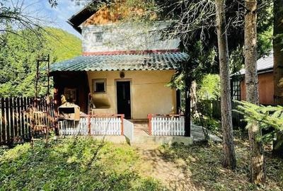 Casă cu 4 camere în Lepșa - 1