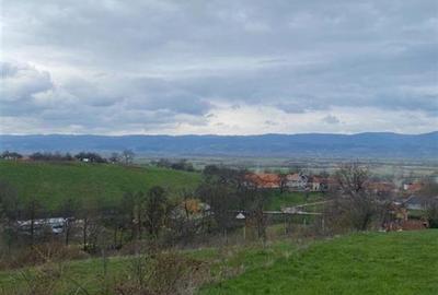 Teren intravilan de 4669 mp, în Dobricionești - 1