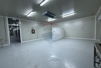 Hala frigorifica 500 mp de vanzare in Mihai Viteazu Constanta Tulcea - 12