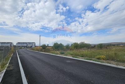 De vanzare teren industrial cu PUZ aprobat - 5