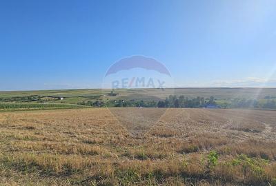 Teren intravilan, 7500 mp in Moara Carp / Strada Eternita... - 14