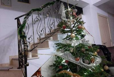De inchiriat casa Tunari - 3