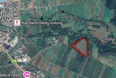 Teren plat, deschidere rau,  Hateg, optiune intravilan - 3