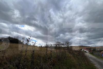 Teren de vanzare perfect pentru investitie in Babutiu - 2