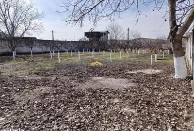 Spațiu comercial, de 470 mp, în Mihai Eminescu - 1