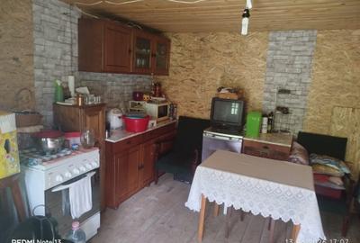 Spațiu comercial, în Presaca Ampoiului - 13