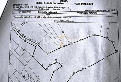 Teren Construcții intravilan de 8000 mp, în Ciurbești - 2