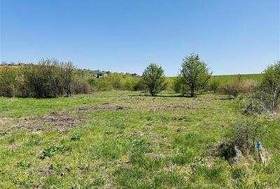 TEREN INTRAVILAN | 687 MP | LA 100 M DISTANTA DE LAC, ZONA PALEU