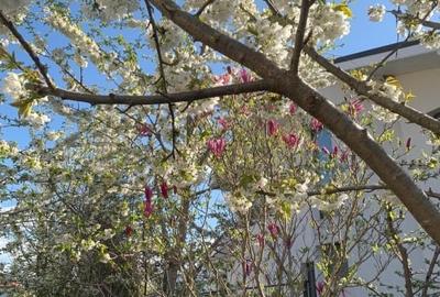 Duplex cu 5 camere cu Canalizare în Ostratu - 12