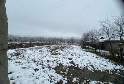 Casă cu 3 camere cu Teren 10000 Mp în Central - 4