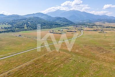 Teren : Parcele de 1.000 mp in Glajerie, Rasnov - comision 0% pentru cumparator! - 7