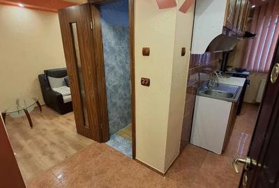 2 camere, etaj 2, modernizat, Sagului - 12