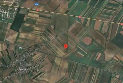 Teren extravilan Mogosani, ID: R2868327 - 4