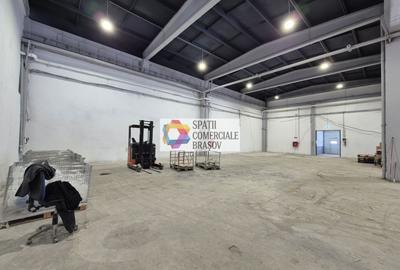 Spațiu industrial, de 300 mp, în Bartolomeu - 10