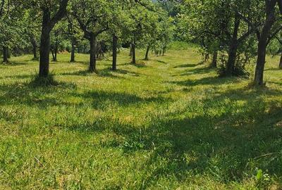 Casă cu 4 camere în Coasta Cerbului - 2